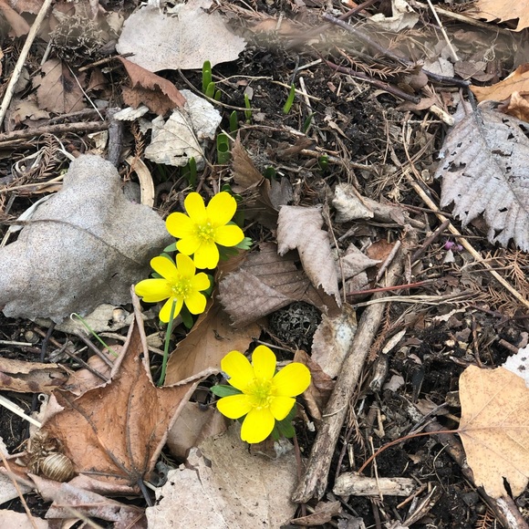 Meet your Posher, Alix - Picture 1 of 1